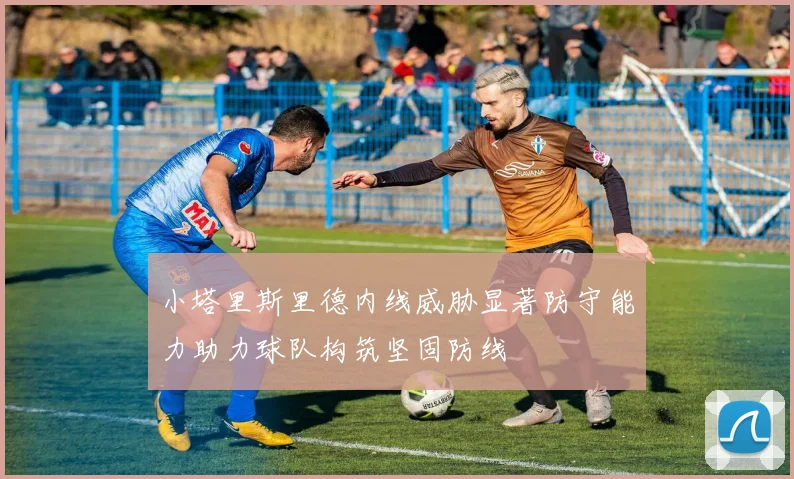 小塔里斯里德内线威胁显著防守能力助力球队构筑坚固防线